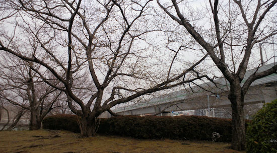 230320-4.machinami.jpg