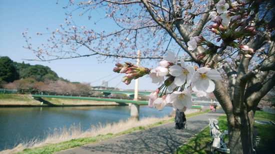 300325-machi3.jpg