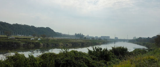 240414-1.hayamimi.jpg
