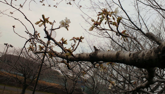 230320-6.machinami.jpg