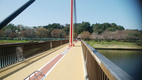 300325-machi4.jpg