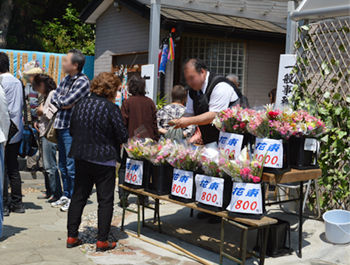 290930-nabiken23.jpg