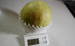 210911-15.tenpo.jpg