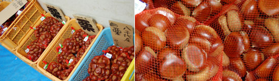 210911-9.tenpo.jpg