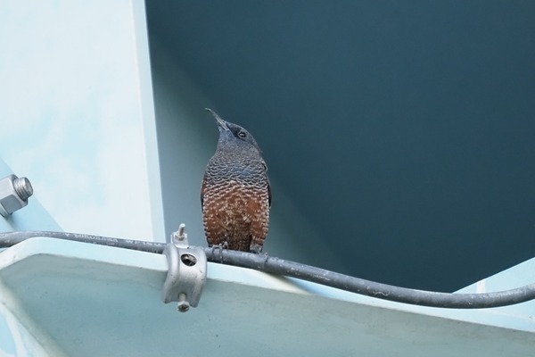 211030iso6