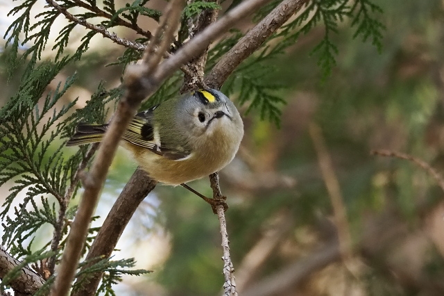 289d760f.jpg