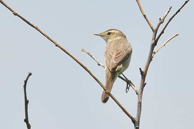 5e70d6b2.jpg