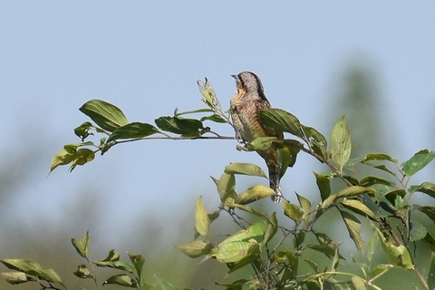 710f8944.jpg
