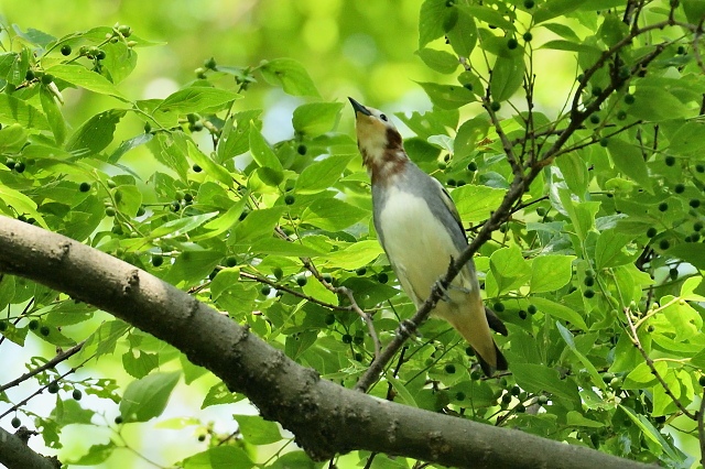 896ebd58.jpg