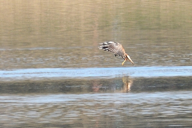 a937b8cd.jpg