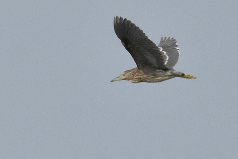 ae11acfe.jpg