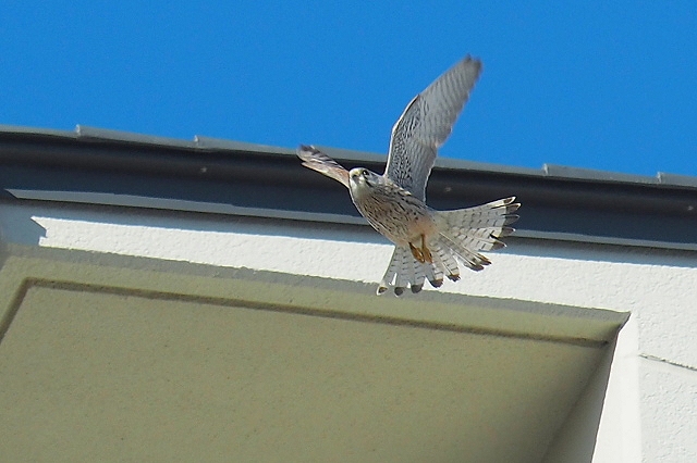 bb539369.jpg