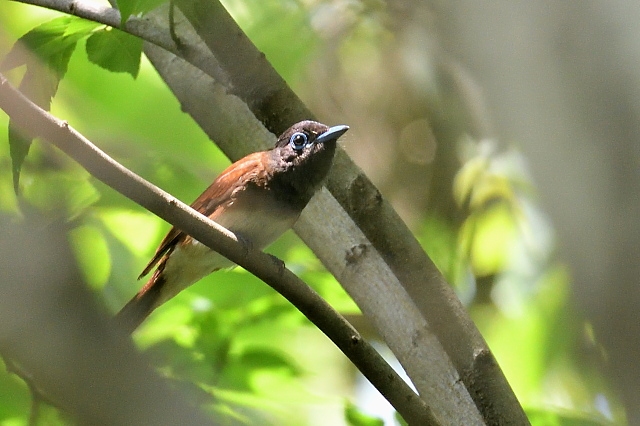d80c3385.jpg