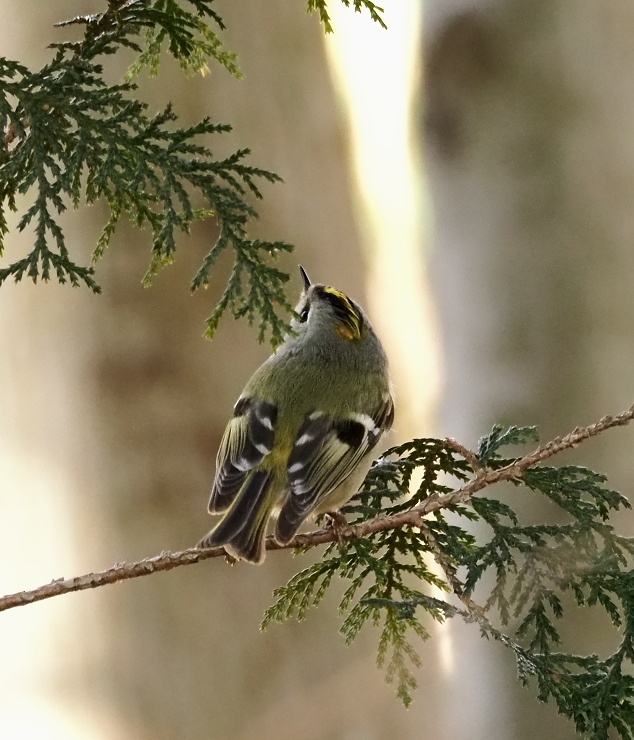 f059e99d.jpg