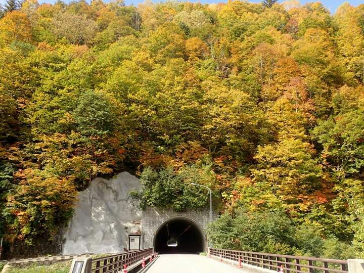 有峰の紅葉の見頃は10月 有峰林道へ行こう 八十万 やそよろず の雑記帳