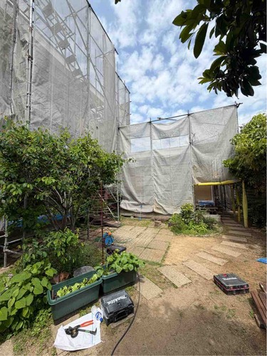 IMG_1286