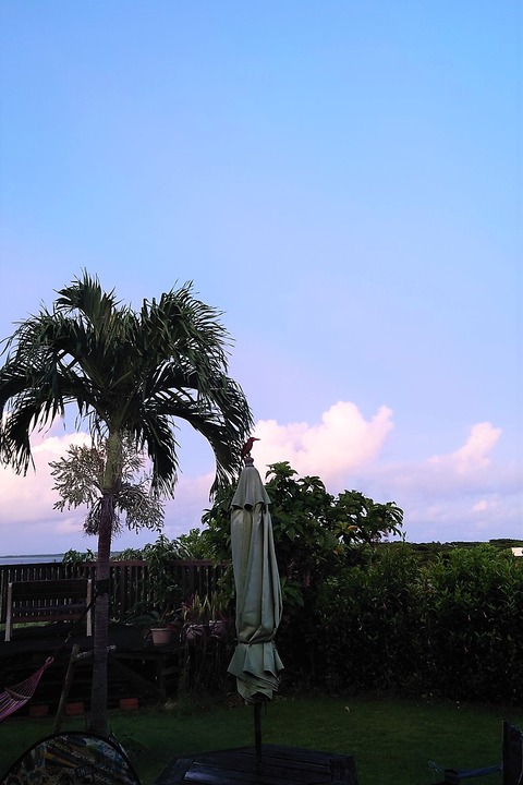 DSC_0954(2)