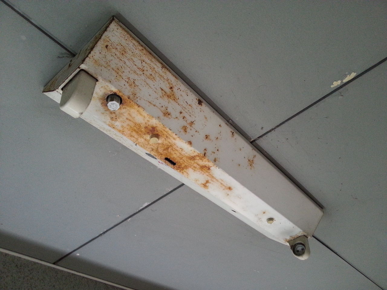 蛍光灯器具を塗装してみました 賃貸 仲介 管理 業務お助けブログ 商品紹介