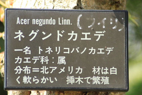 イメージ 6