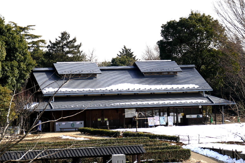 イメージ 8
