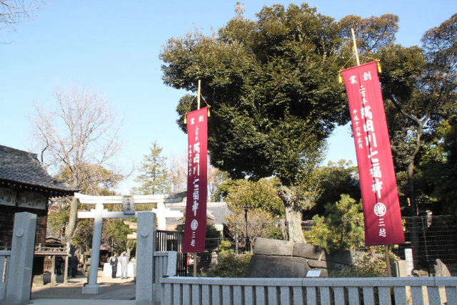 イメージ 11