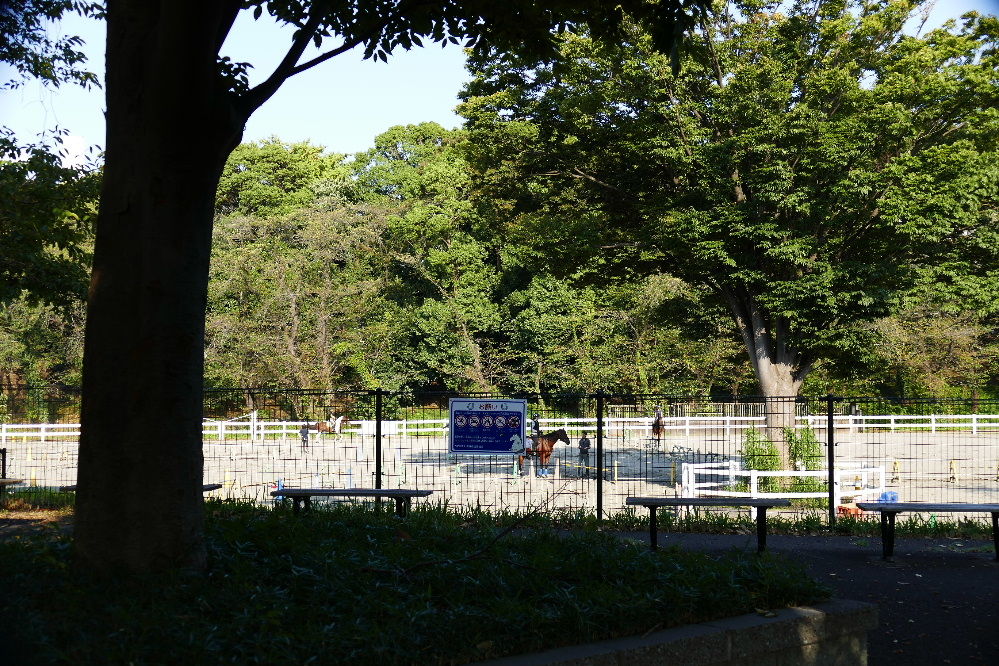 イメージ 5