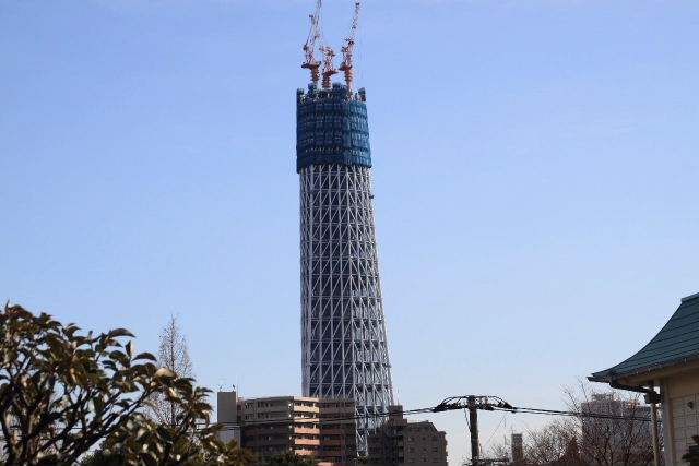 イメージ 6