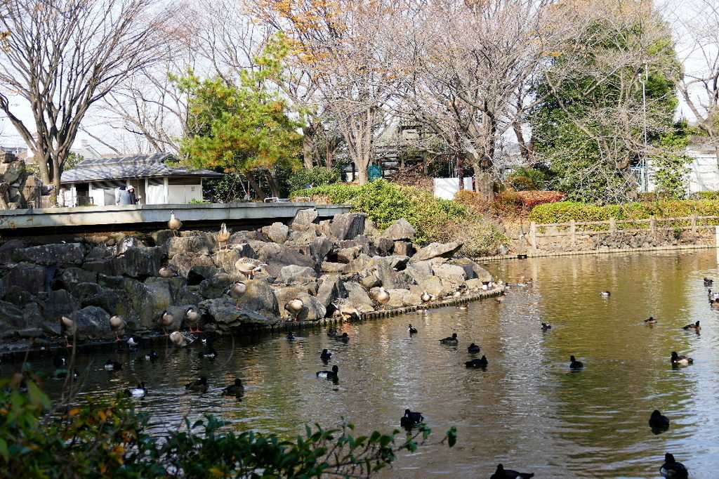 イメージ 10