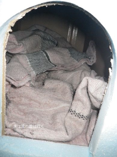 野良猫に寒さしのぎの猫ハウスを作る : 野営人