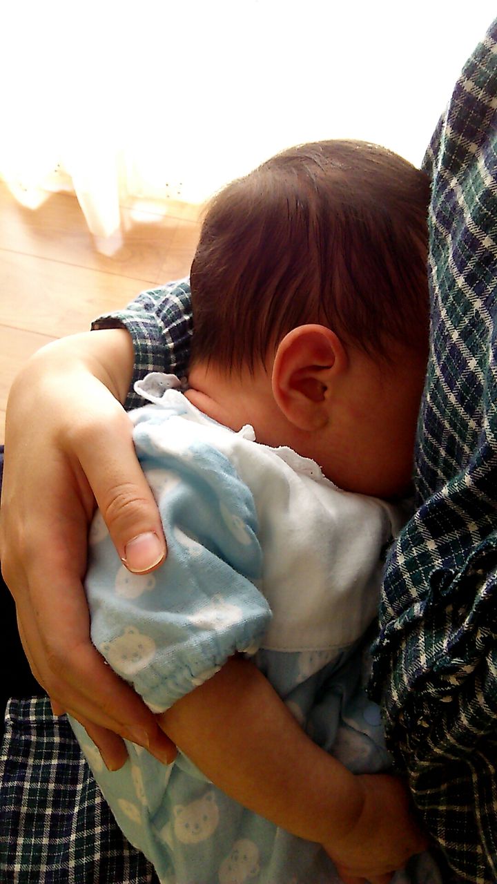 幸せ探しはこたぬきと