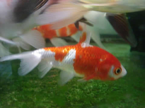 
˸줿줬
