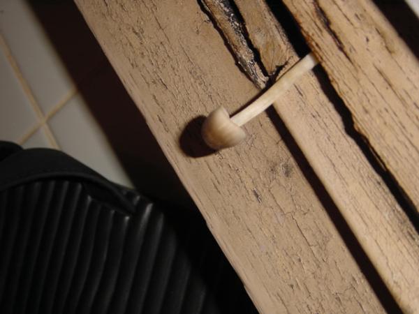 ����Ϥ������������Υ���