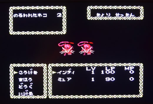 �����ʡ�̤ȯ���ʡ�ȯ����ߡ˥��եȡ� ��ǯ��ѻե���ǥ� ���ե��ߥ��󡡥쥢