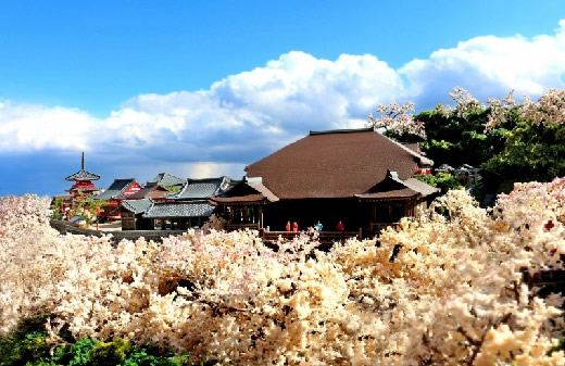 【1/350】清水寺■全景ジオラマ完成品 春光雲海桜 ■世界遺産 夜桜 花見 建築模型 名刹 神社仏閣 手作り 領収