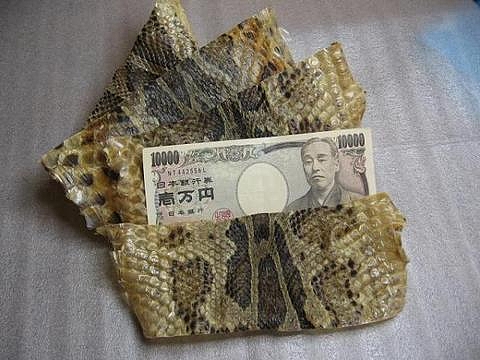 
ǶζⱿåס顡
