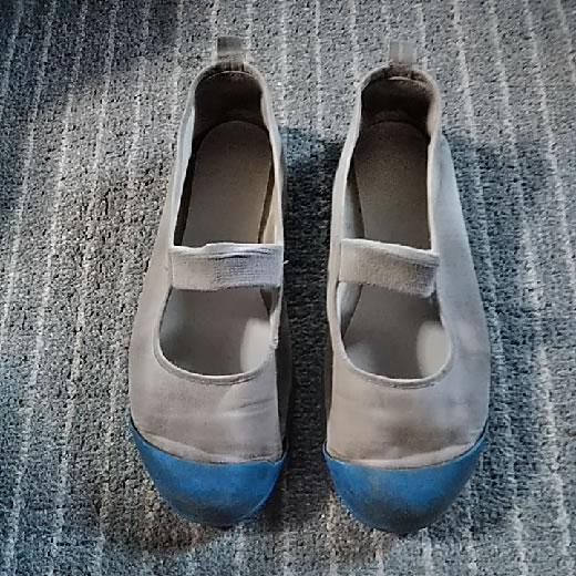 ヤフオクウォッチ 女子限定 卒業で不要になった上履きを最大限に活用する方法がこれ