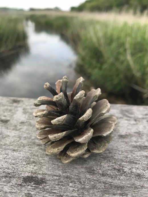 ����ʪ�����ܤä��ꡡ��ڻ������åȡ�KH400��CBX400F GS400��Z1��Z2