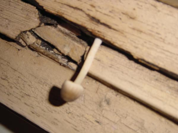 ����Ϥ������������Υ���