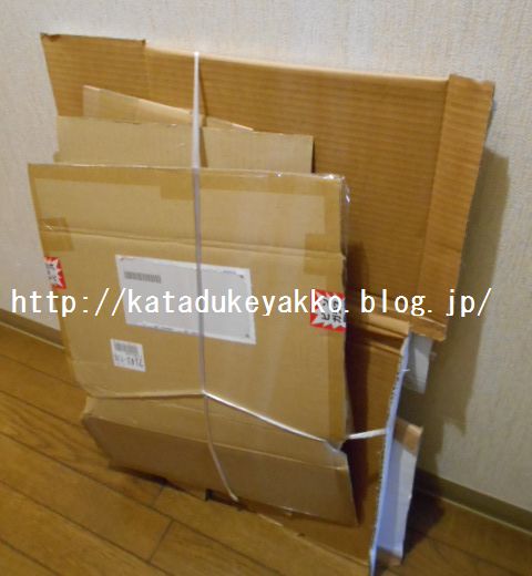 DSCN4529
