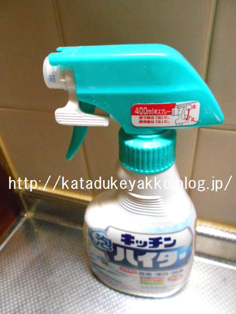 DSCN4251