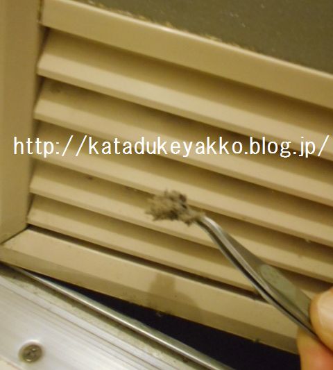 DSCN0842