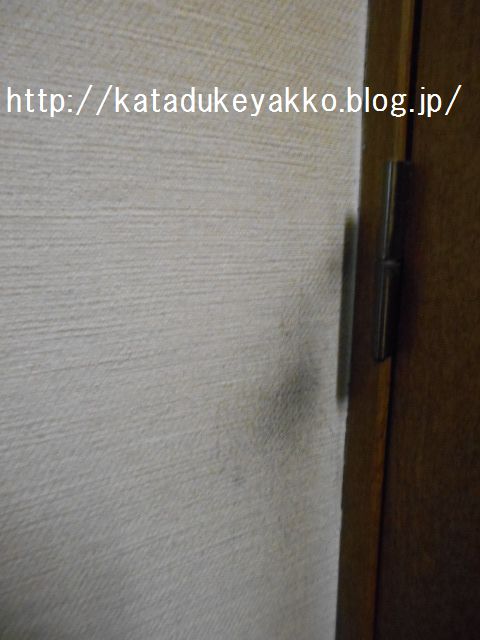 DSCN0169