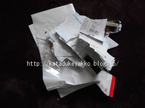 DSCN2819