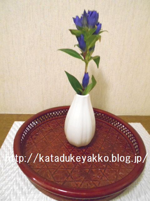 DSCN1476
