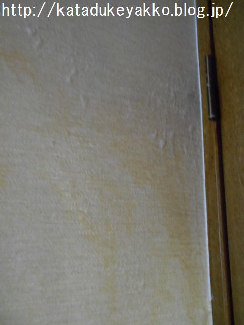 DSCN0173
