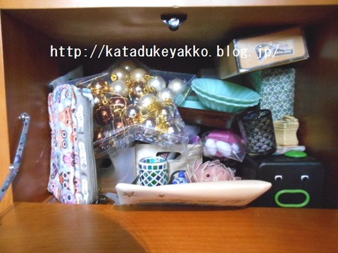 DSCN5172