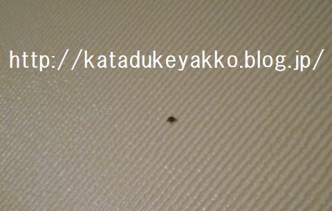 DSCN5314