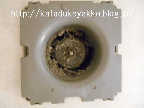 DSCN0587