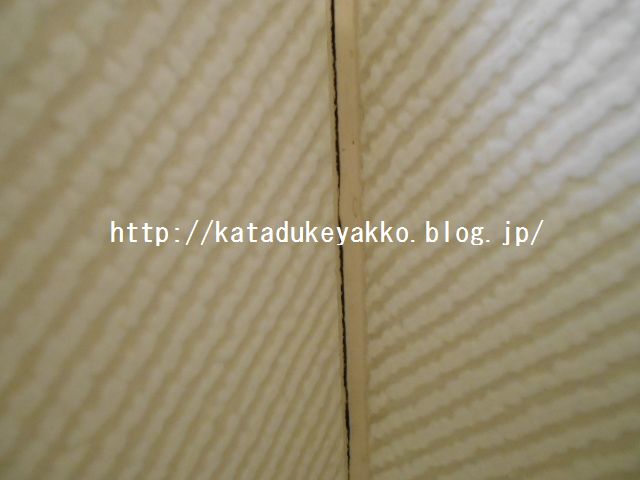 捨て活 諸行無常のユニットバスの耐用年数は15年程度 1日1捨 373 やっこさんの捨て活ブログ 片付けビフォーアフター 捨て活 諸行無常のユニットバスの耐用年数は15年程度 1日1捨 373 やっこさんの捨て活ブログ 片付けビフォーアフター