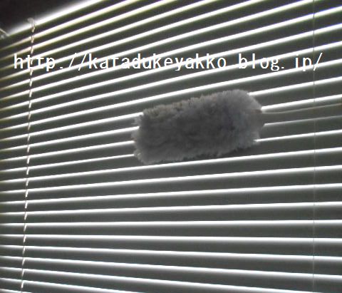 DSCN2861
